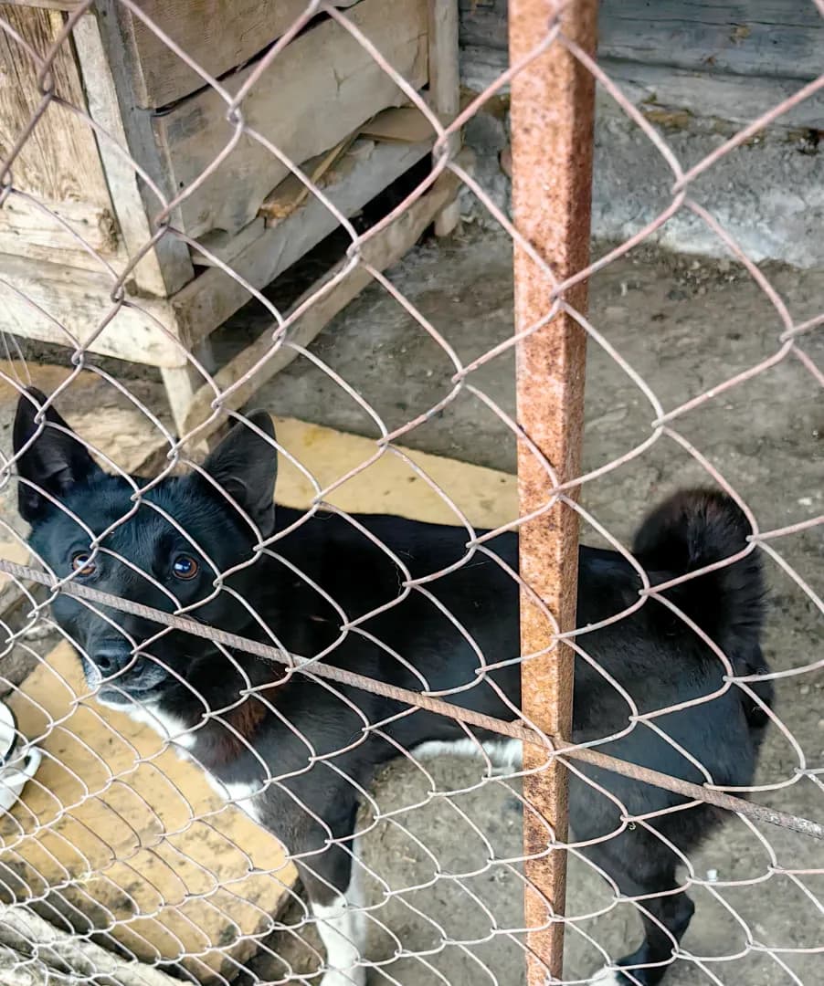 carousel-image-mobile-2