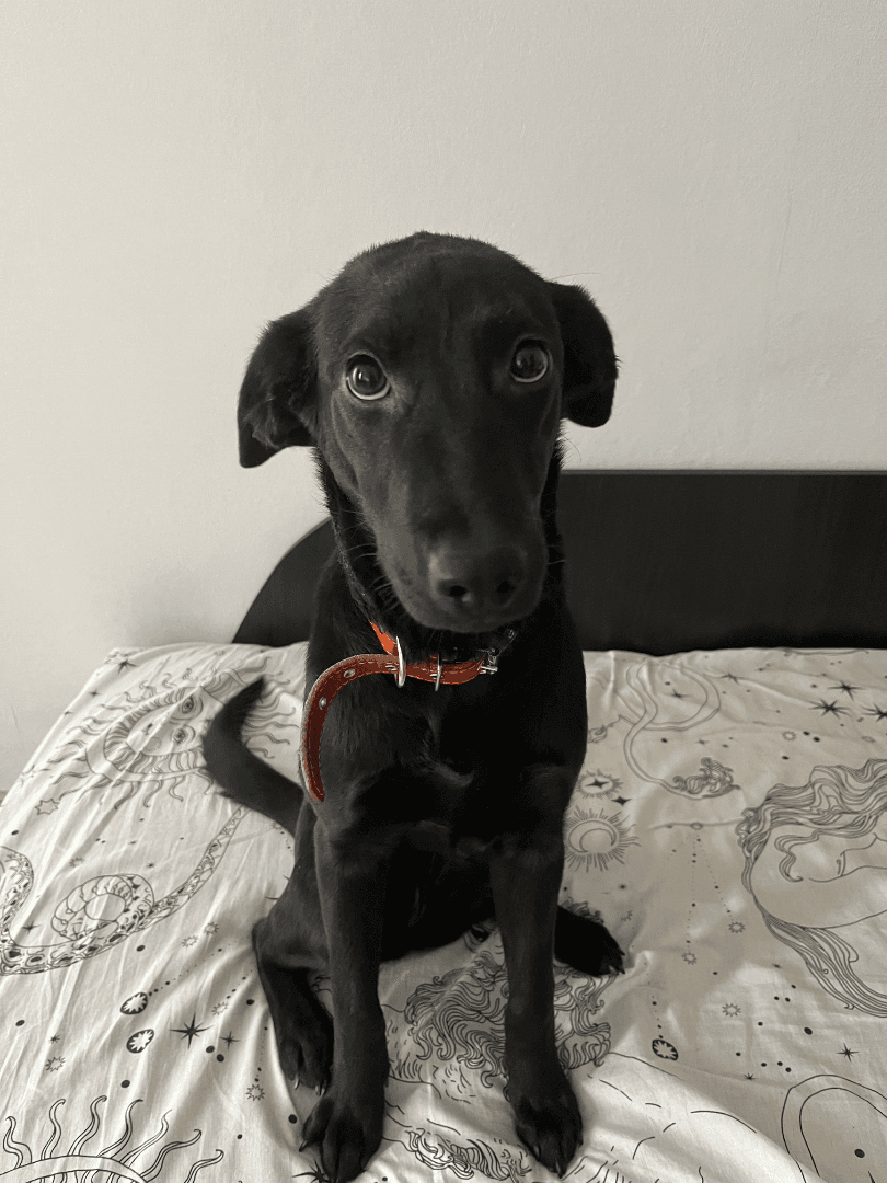 carousel-image-mobile-1