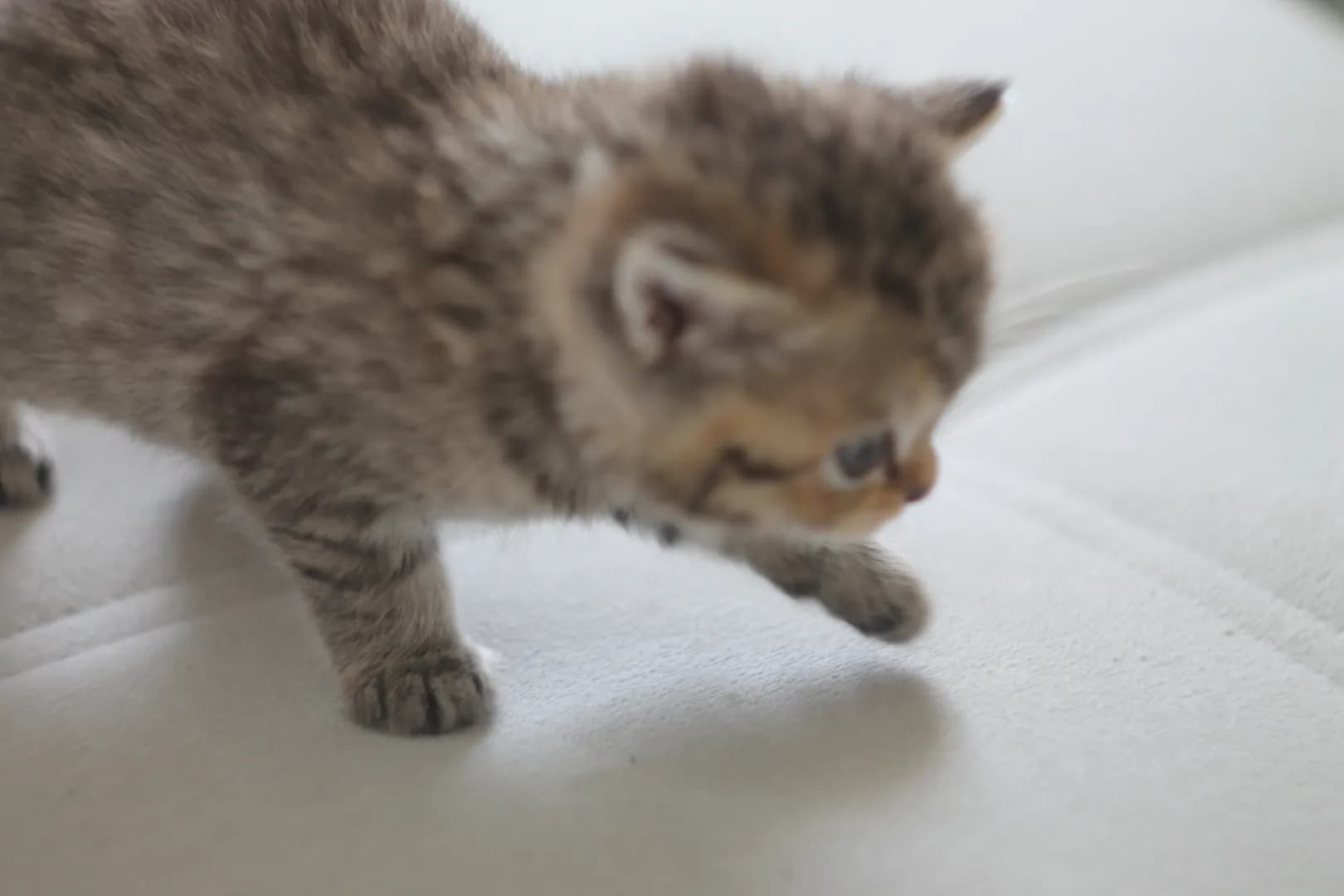 carousel-image-mobile-1