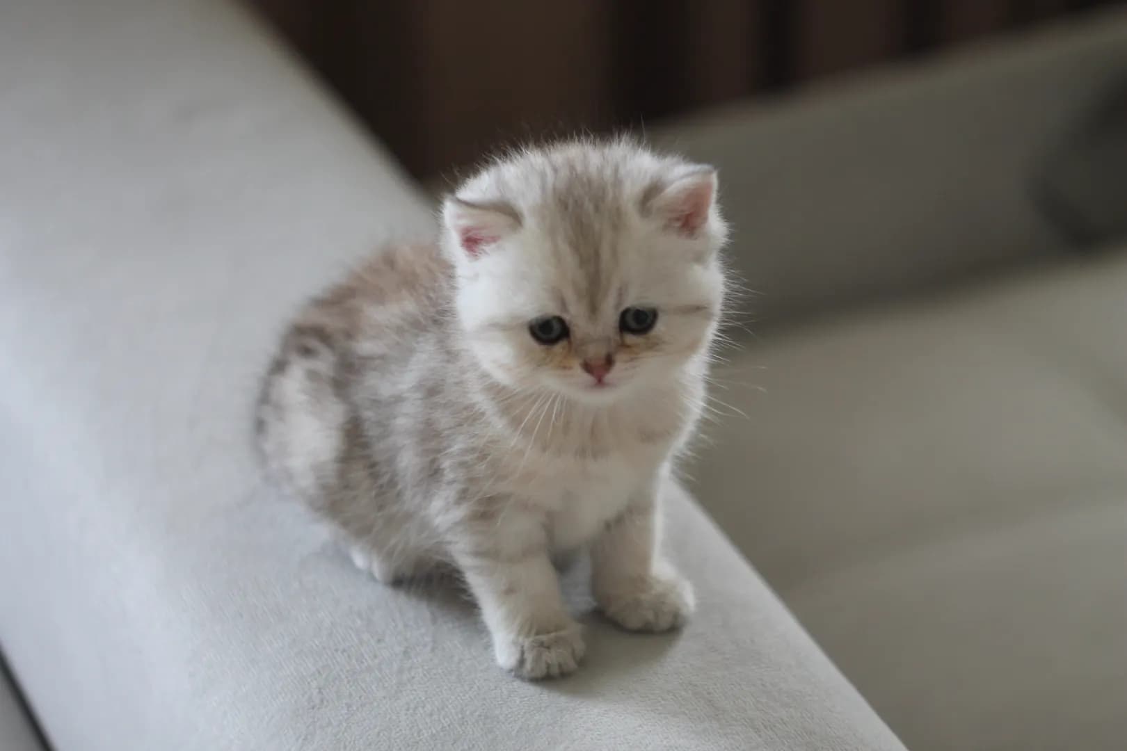 carousel-image-mobile-2