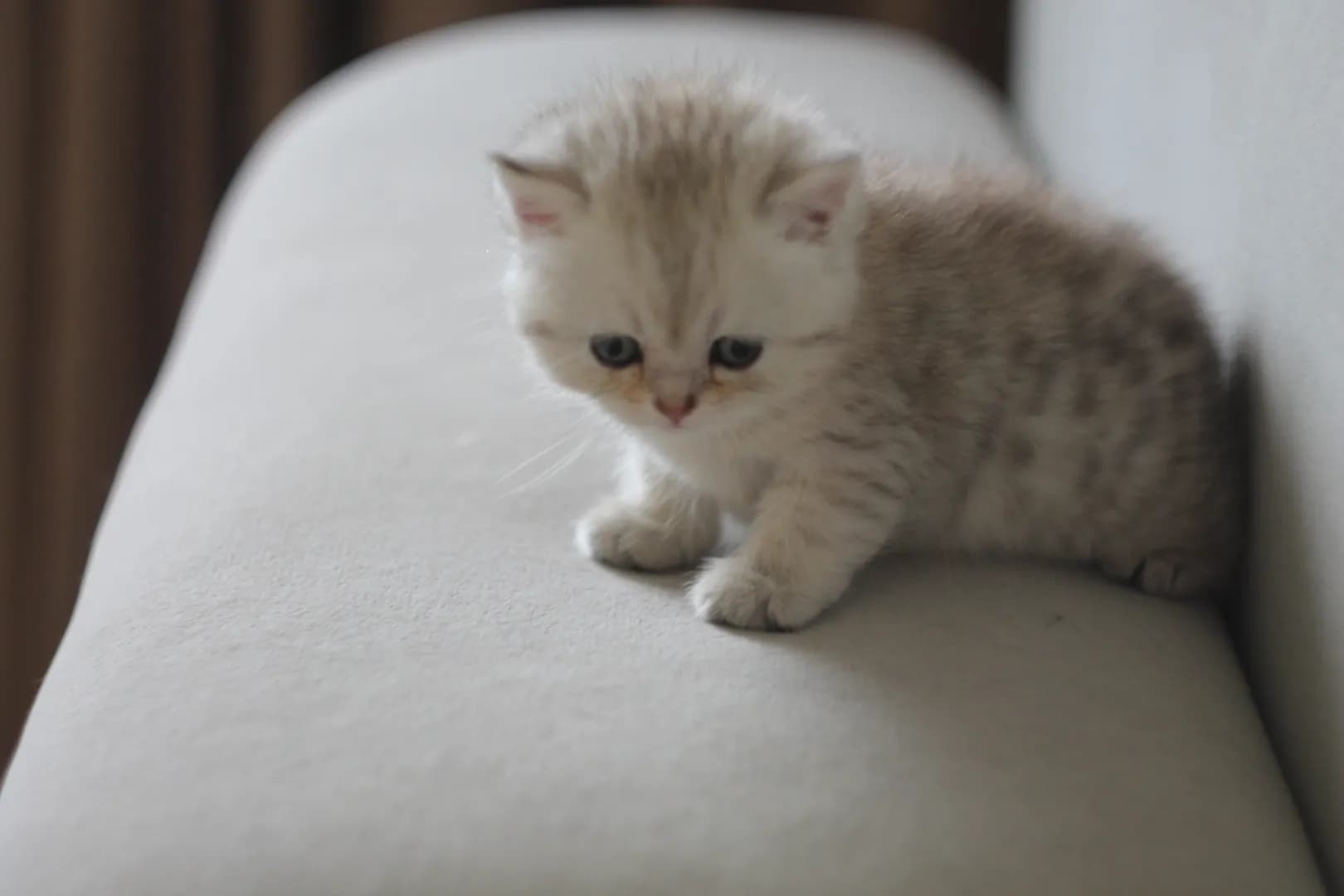 carousel-image-mobile-3