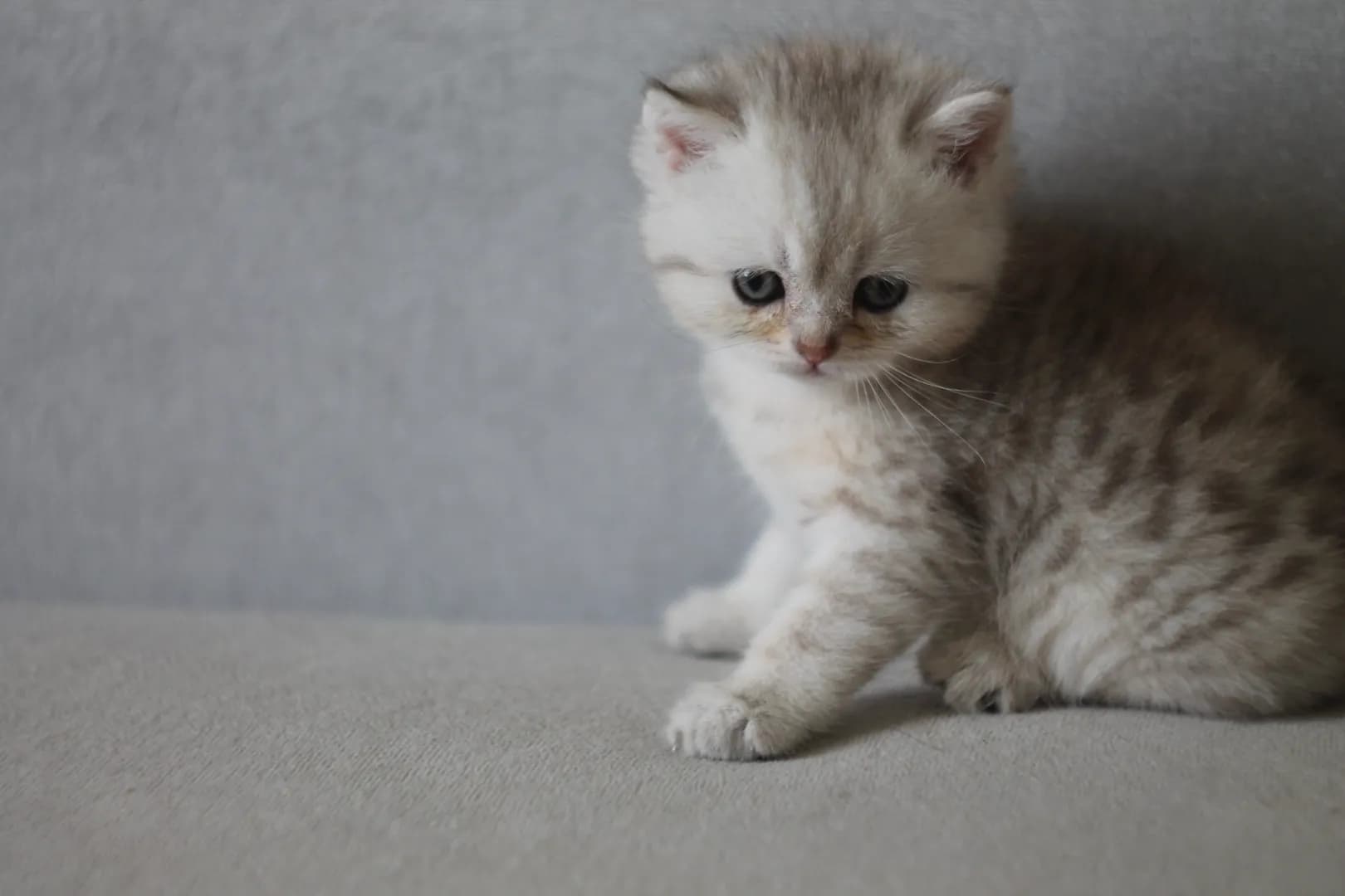 carousel-image-mobile-4