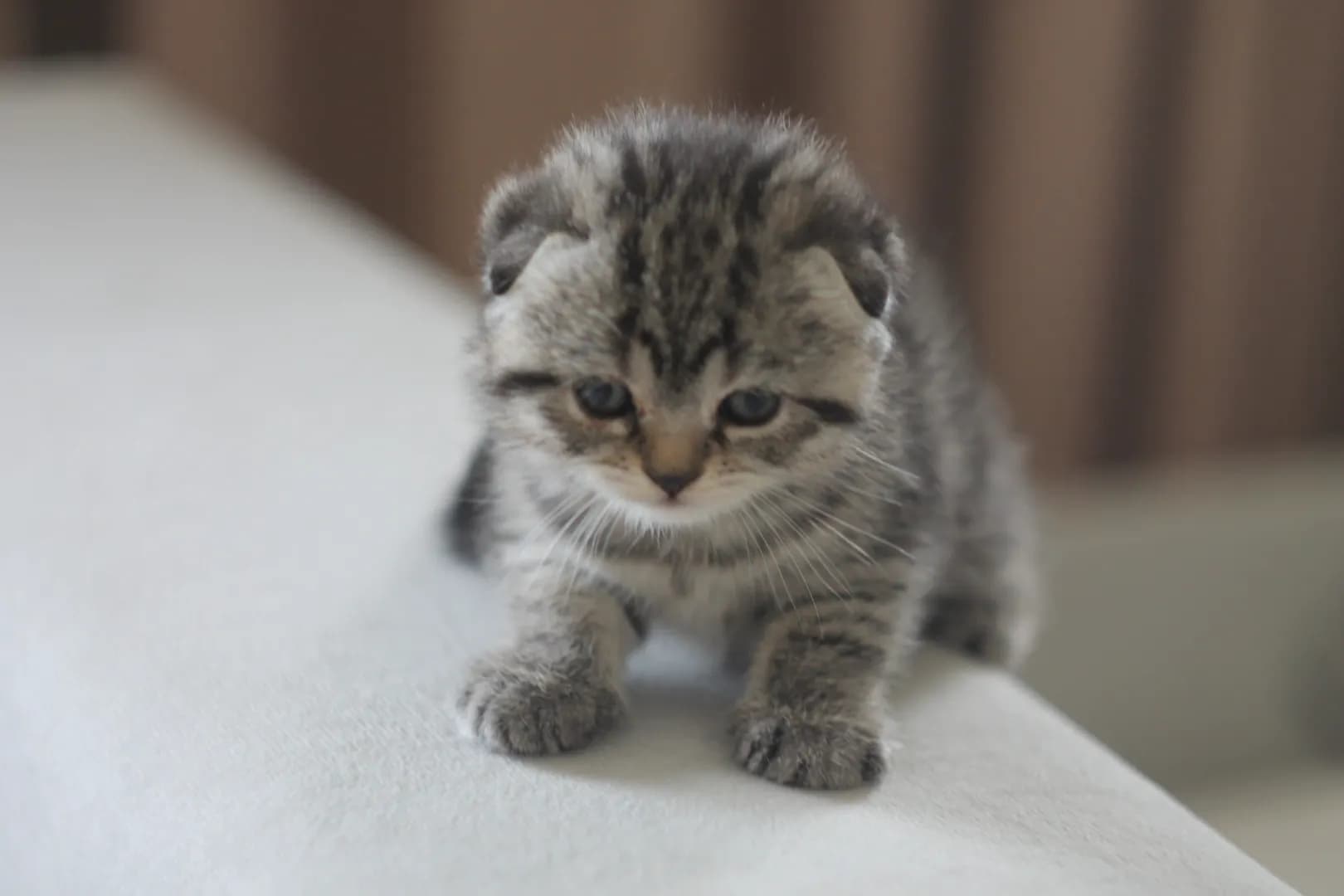 carousel-image-mobile-5