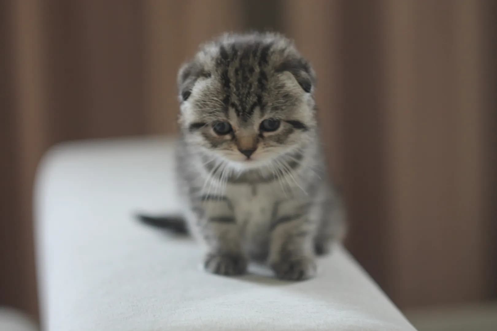 carousel-image-mobile-6