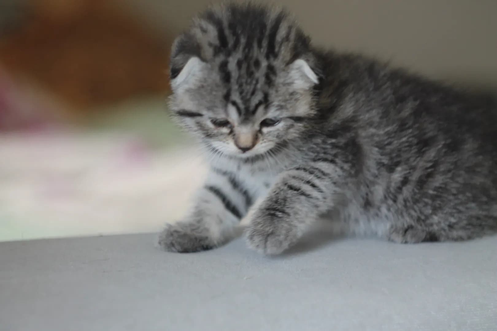 carousel-image-mobile-7