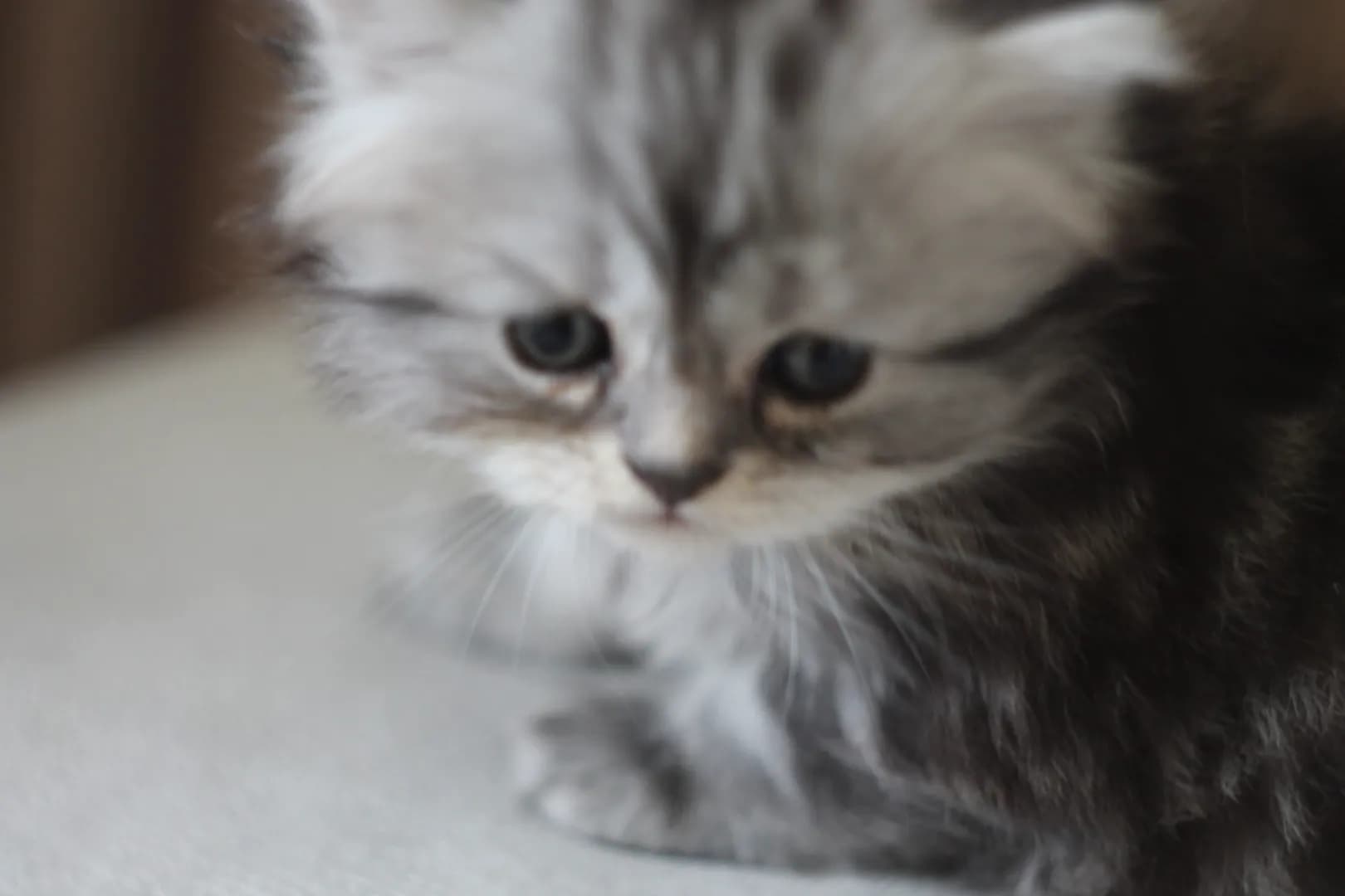 carousel-image-mobile-8