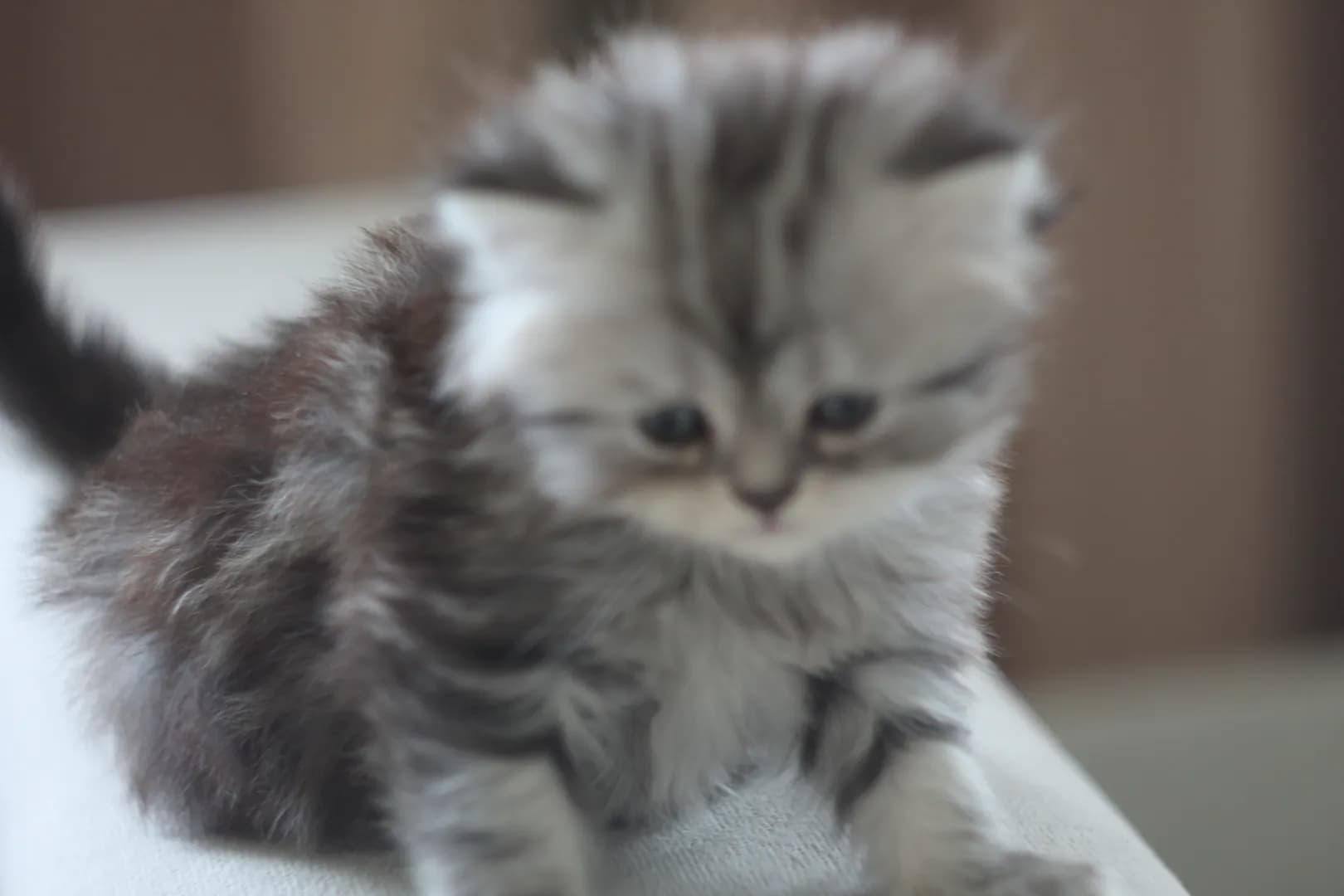 carousel-image-mobile-9