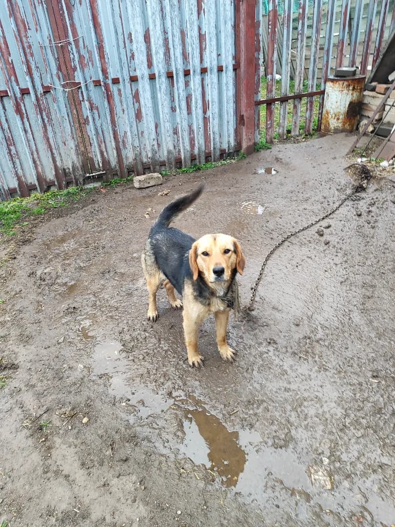 carousel-image-mobile-1