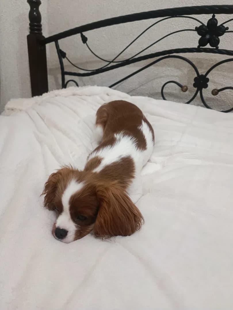 carousel-image-mobile-1