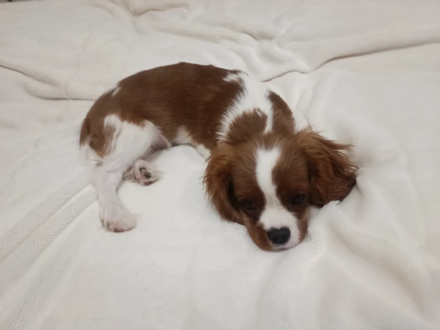 carousel-image-mobile-3