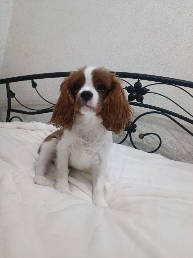 carousel-image-mobile-5