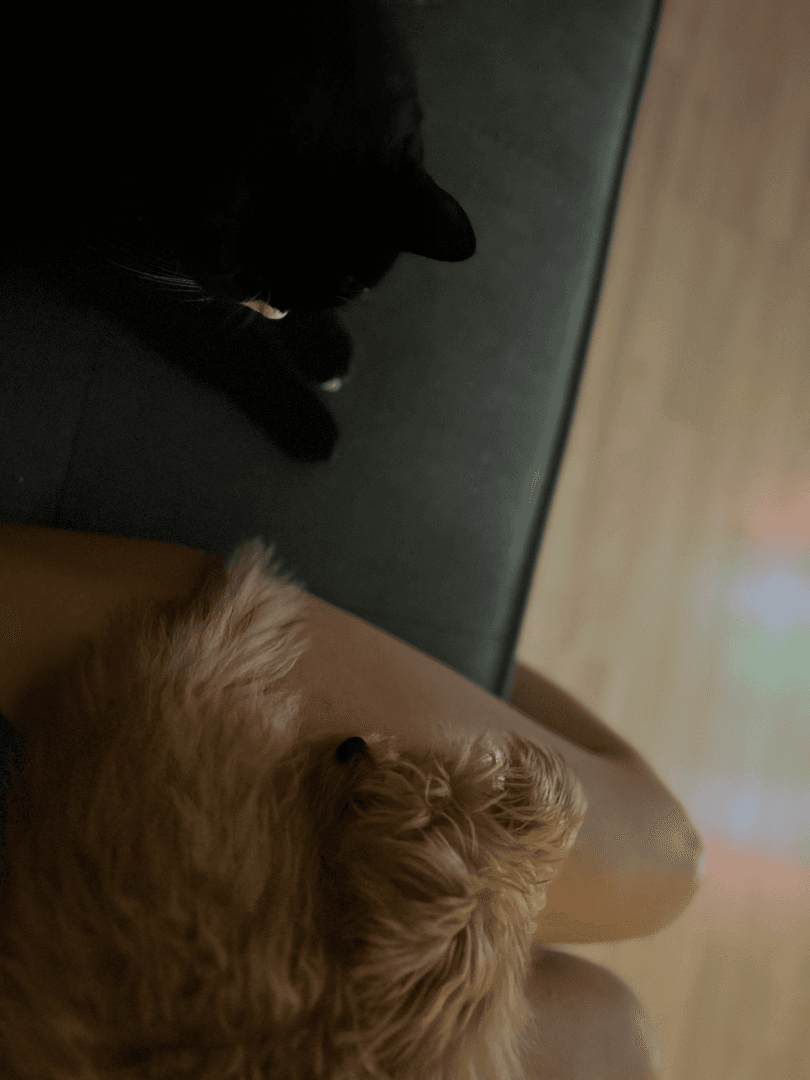 carousel-image-mobile-1