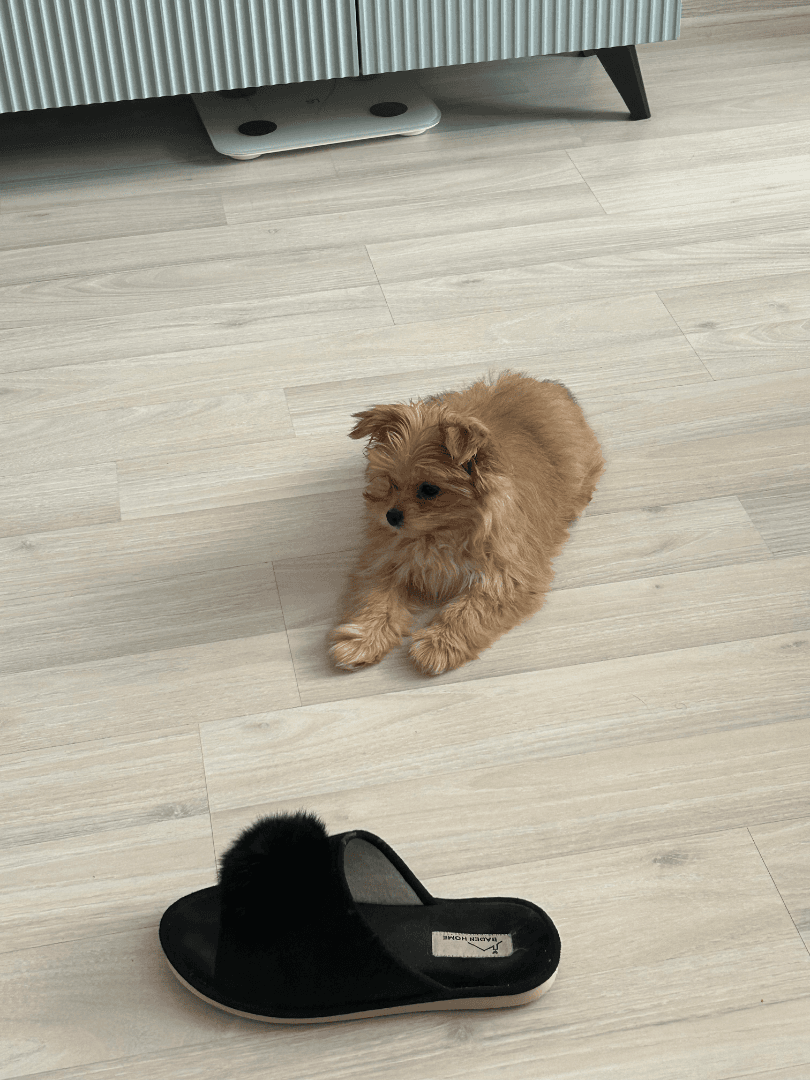 carousel-image-mobile-2