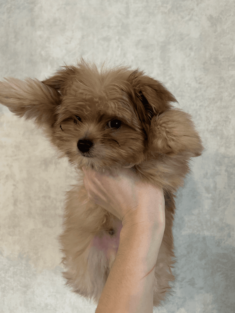 carousel-image-mobile-3