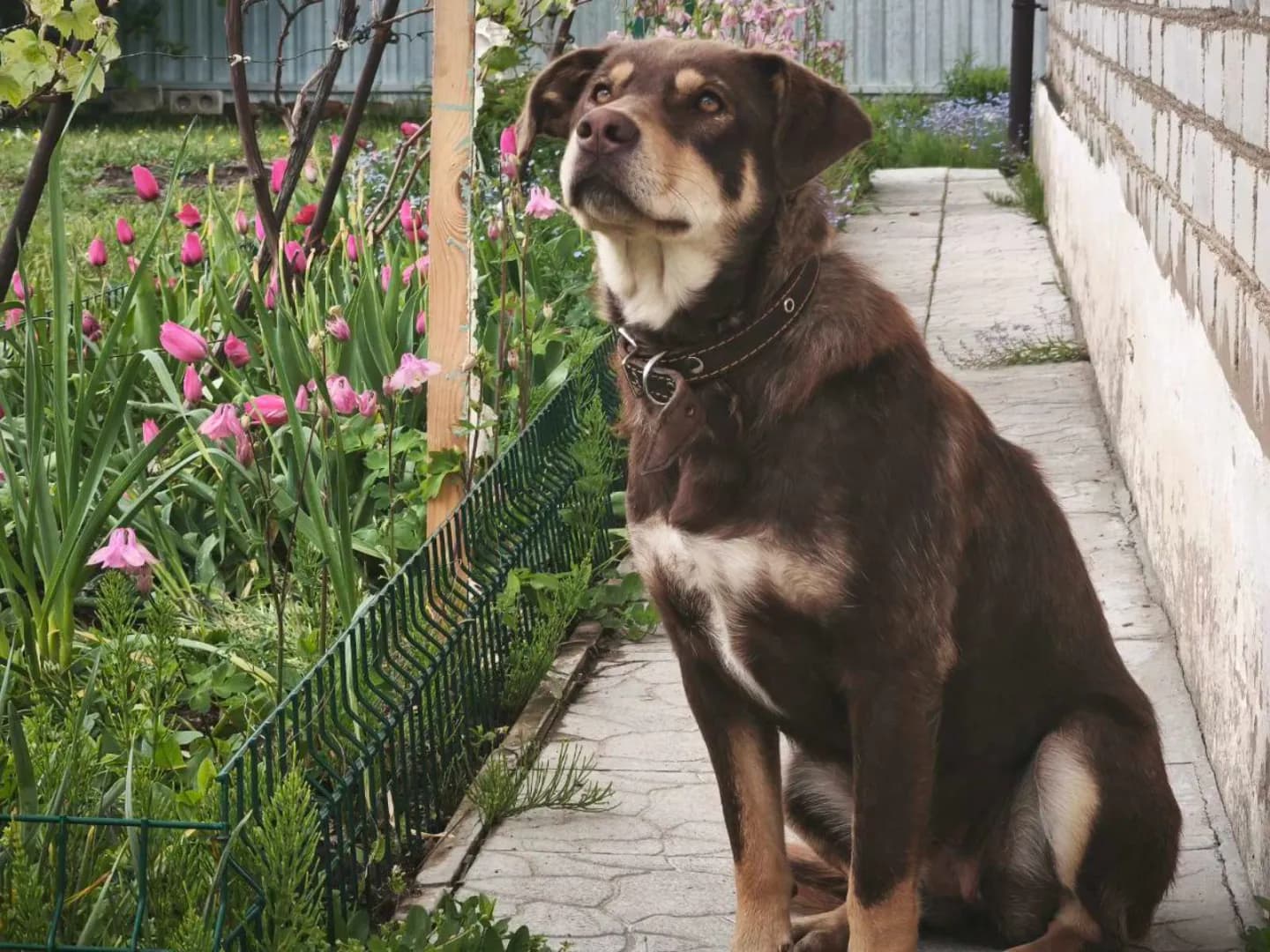 carousel-image-mobile-1