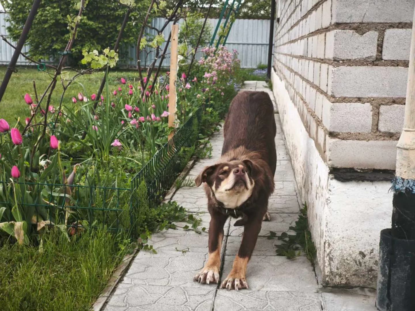 carousel-image-mobile-2