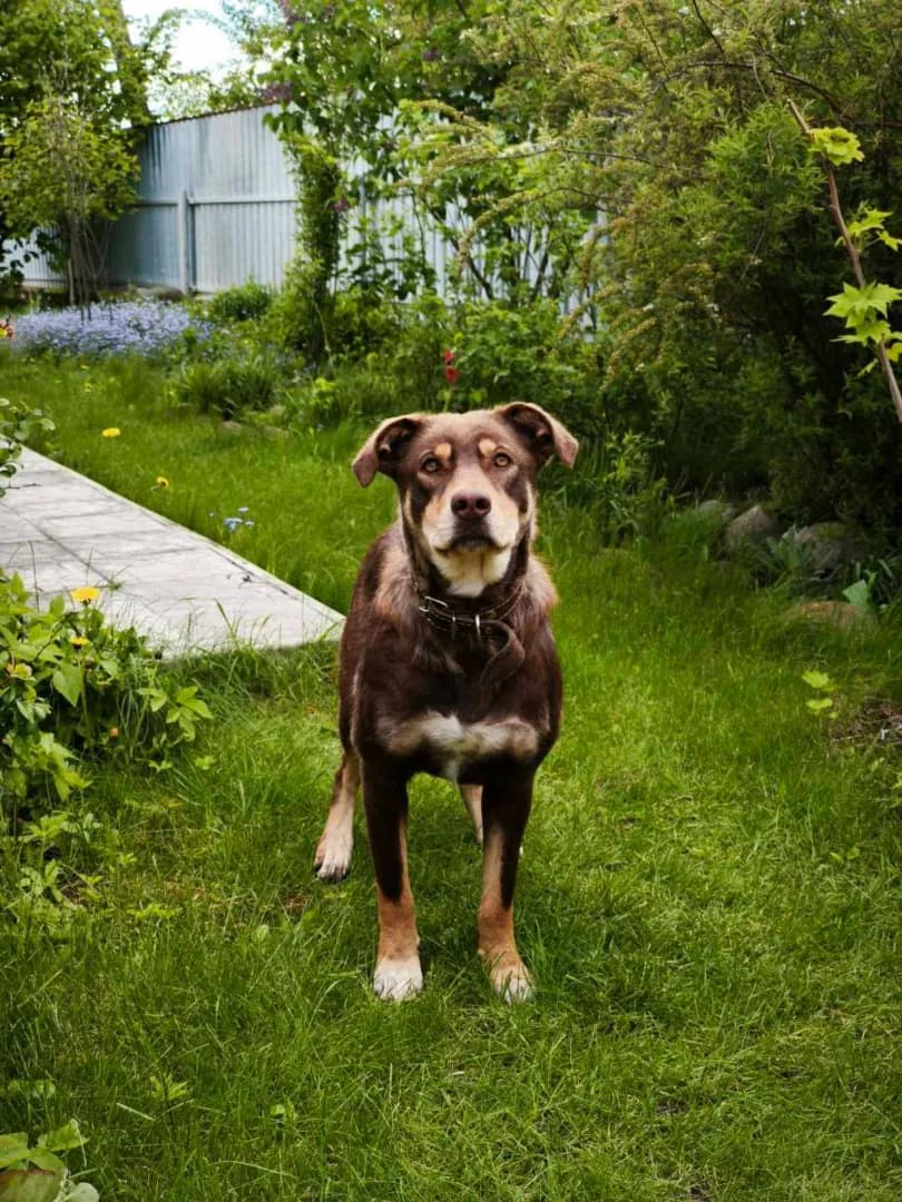 carousel-image-mobile-3