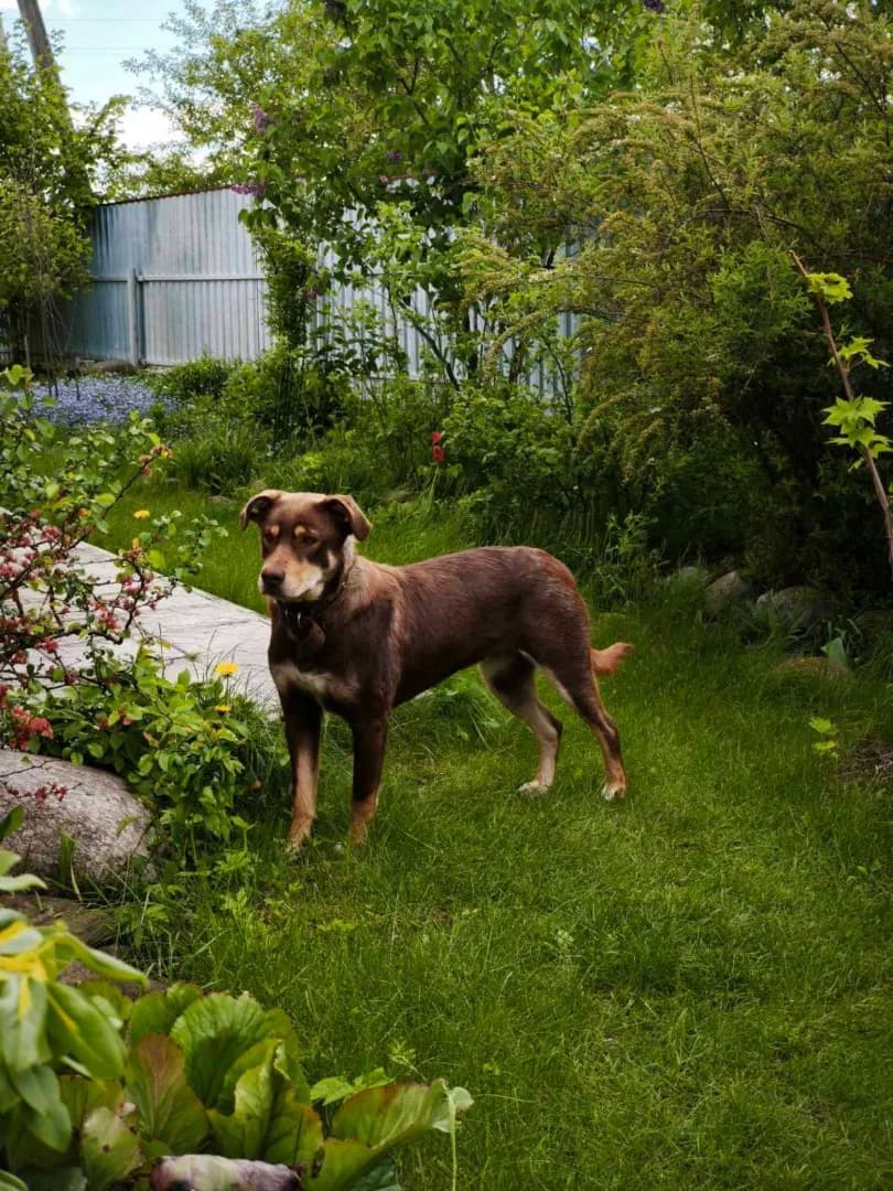 carousel-image-mobile-4