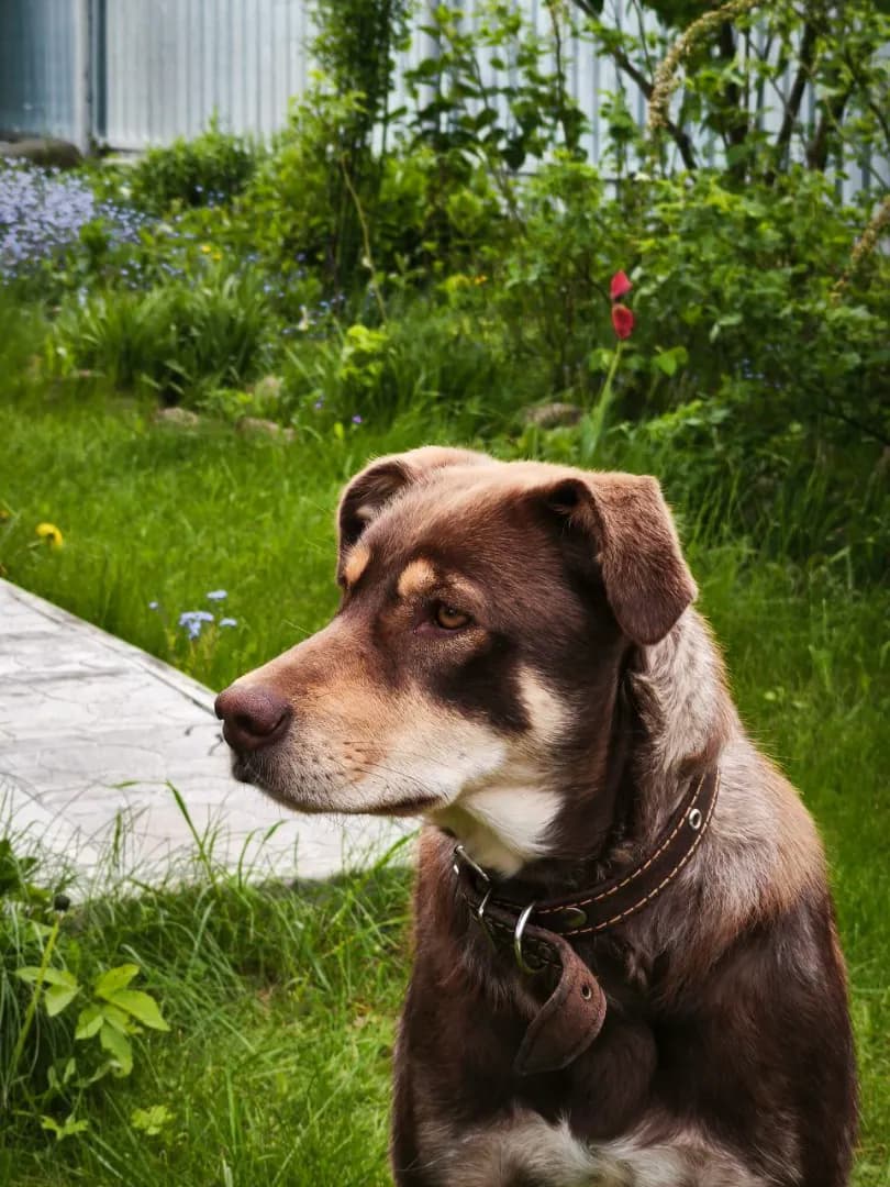 carousel-image-mobile-5