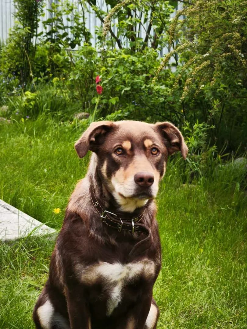 carousel-image-mobile-6