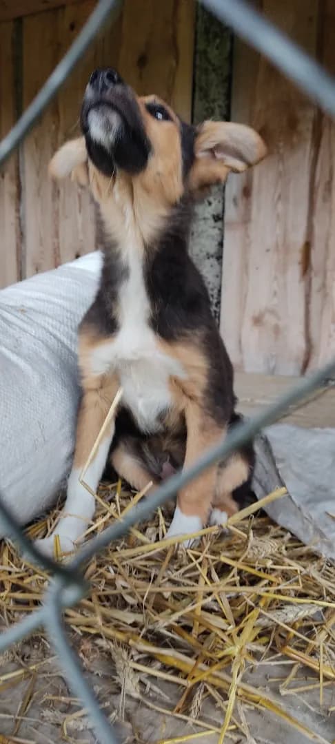 carousel-image-mobile-1