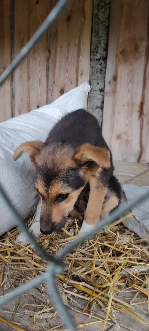 carousel-image-mobile-2