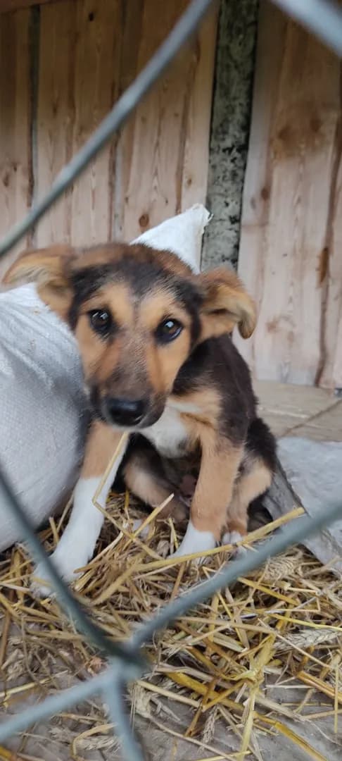 carousel-image-mobile-3