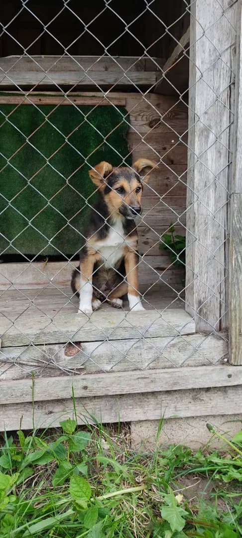 carousel-image-mobile-4