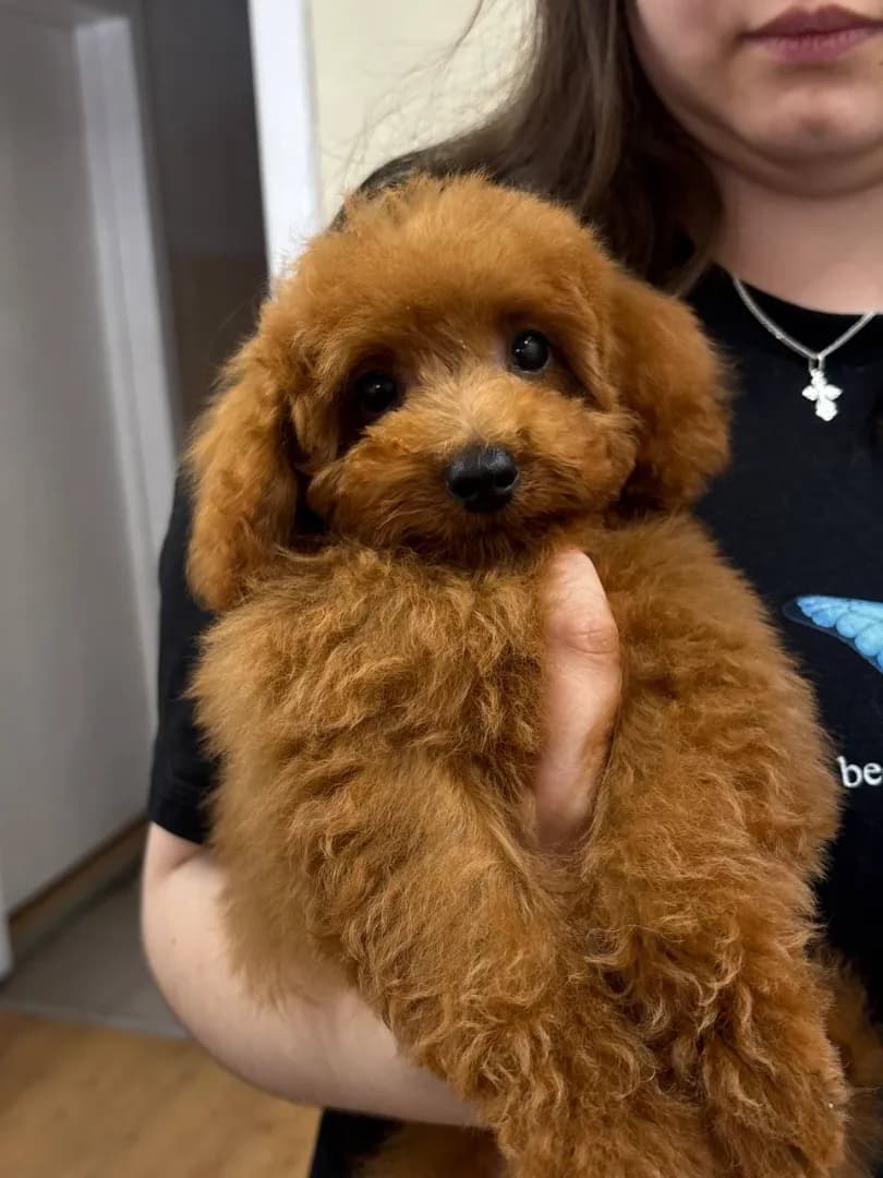 carousel-image-mobile-3