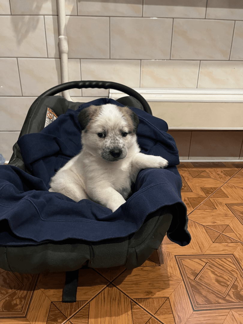 carousel-image-mobile-1