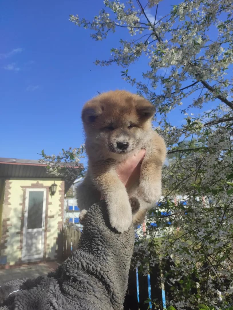 carousel-image-mobile-1