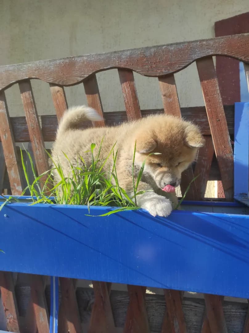 carousel-image-mobile-2