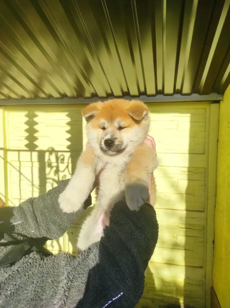 carousel-image-mobile-3