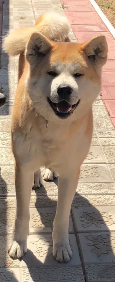 carousel-image-mobile-5