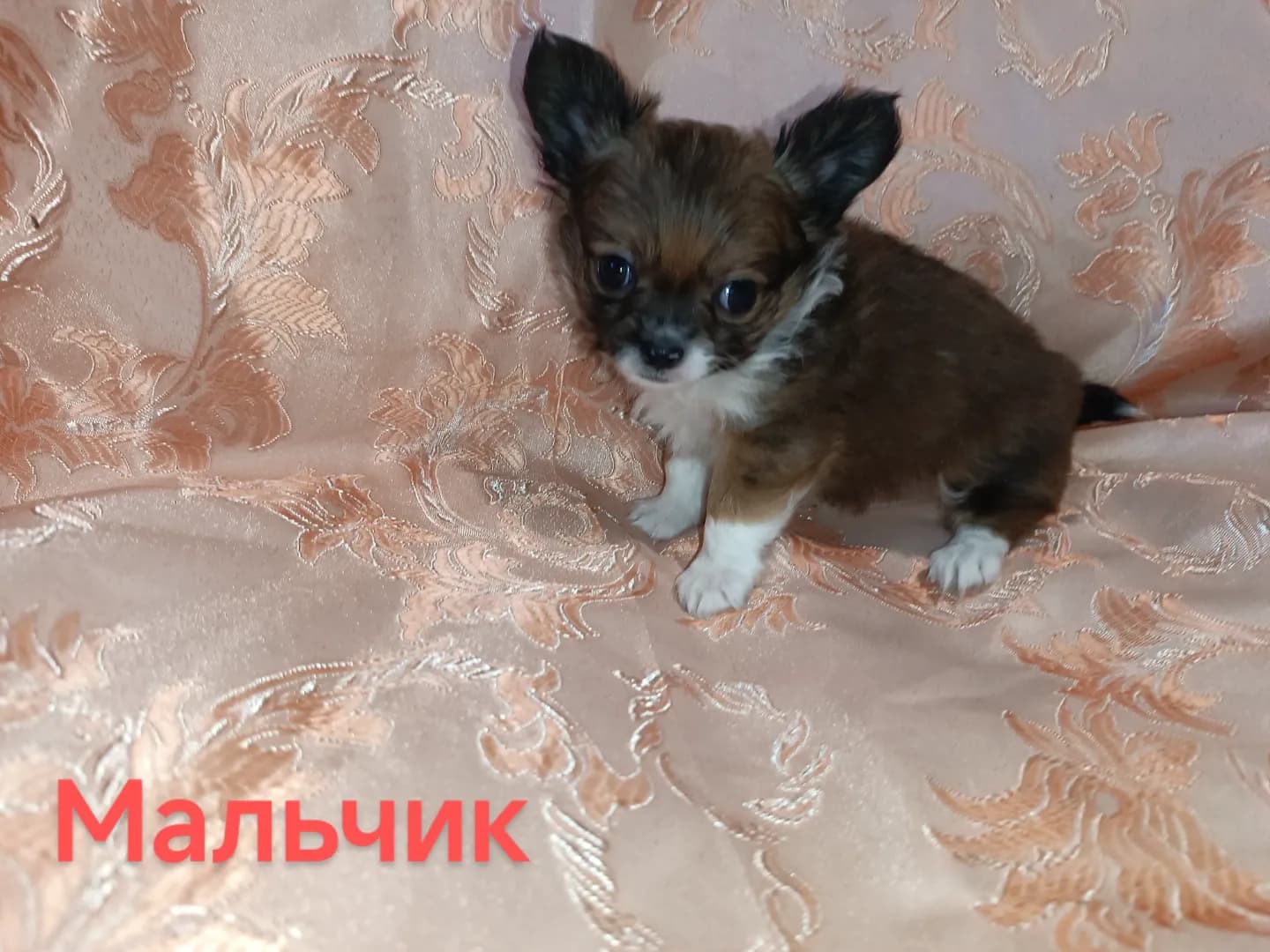 carousel-image-mobile-1