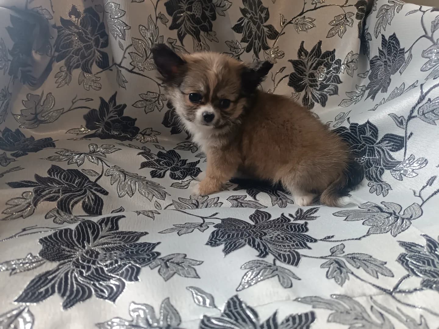 carousel-image-mobile-1