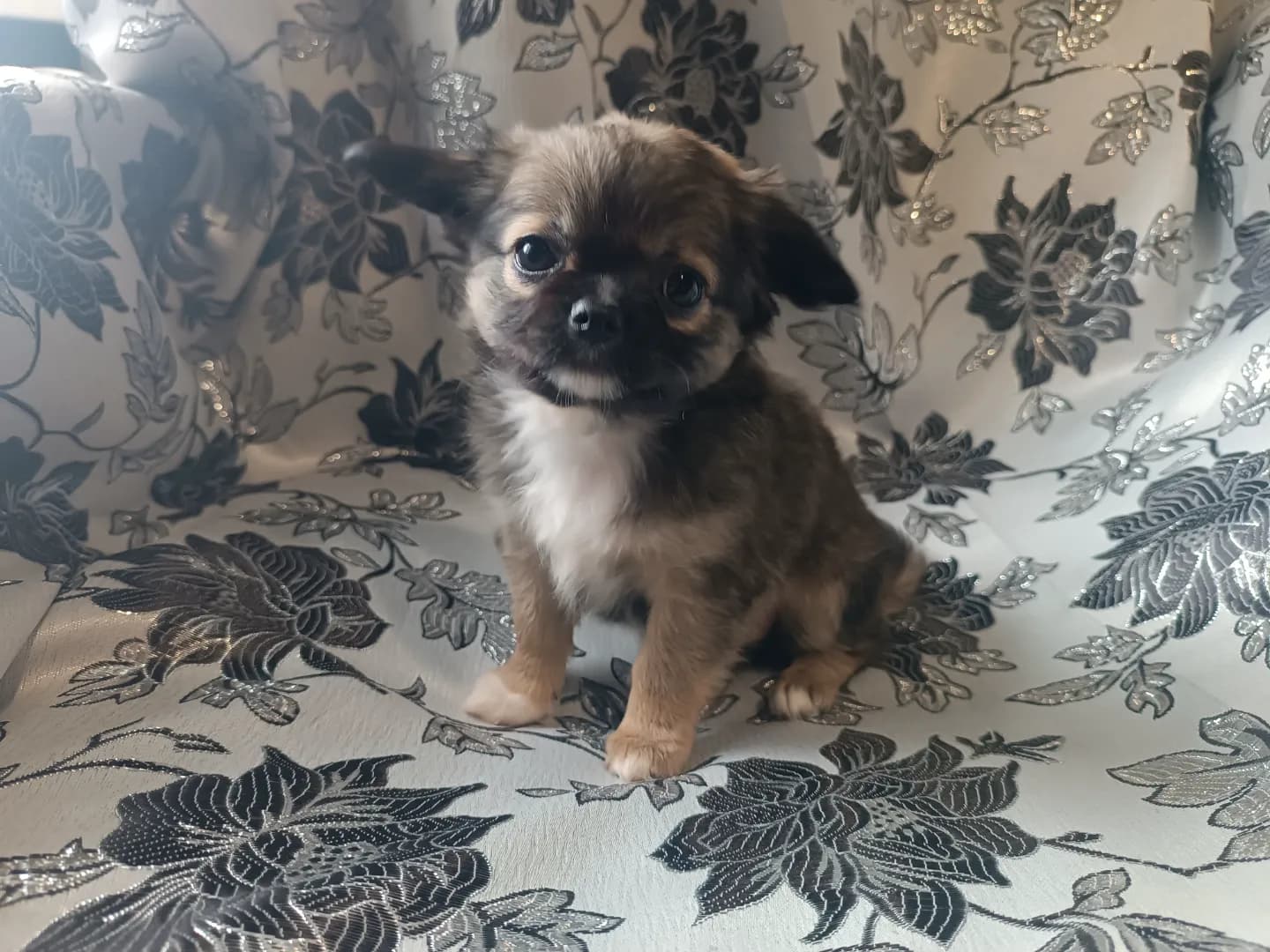 carousel-image-mobile-2