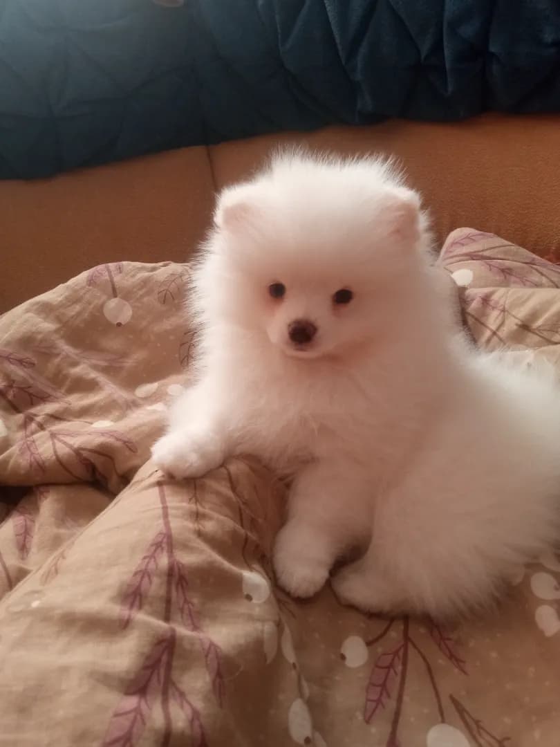 carousel-image-mobile-1