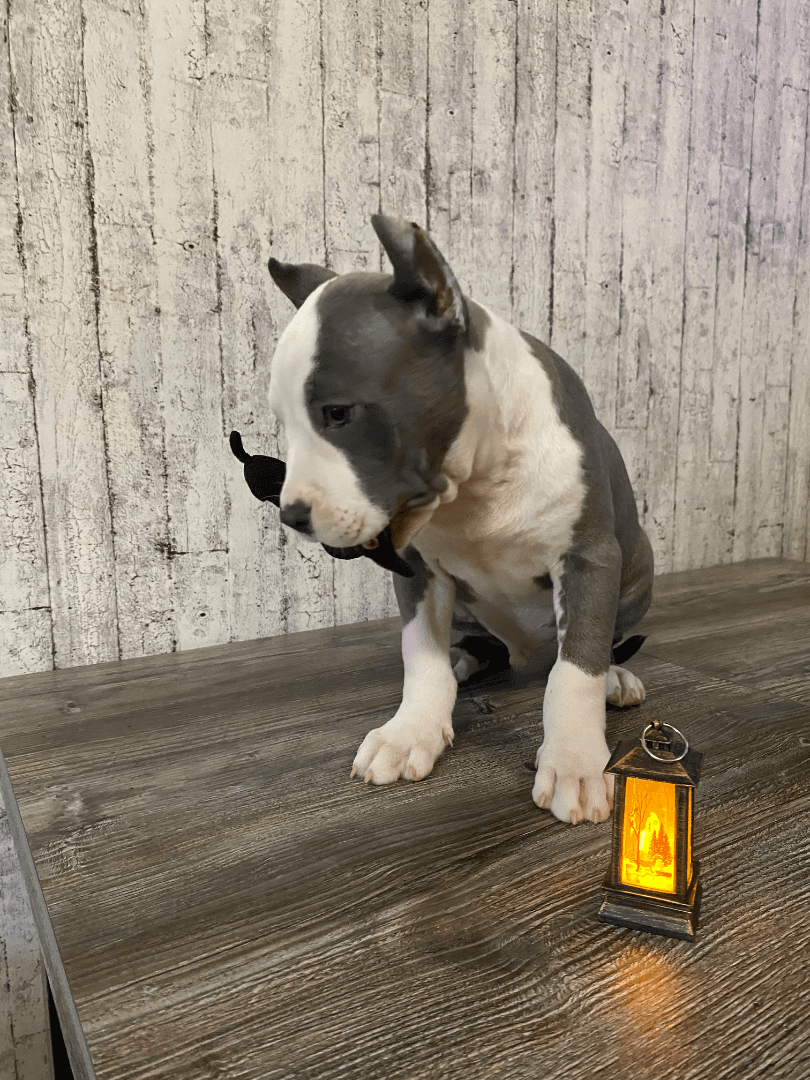 carousel-image-mobile-1