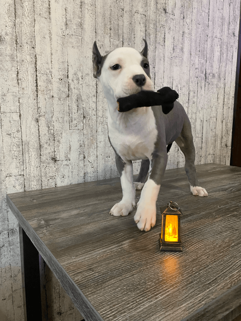 carousel-image-mobile-2