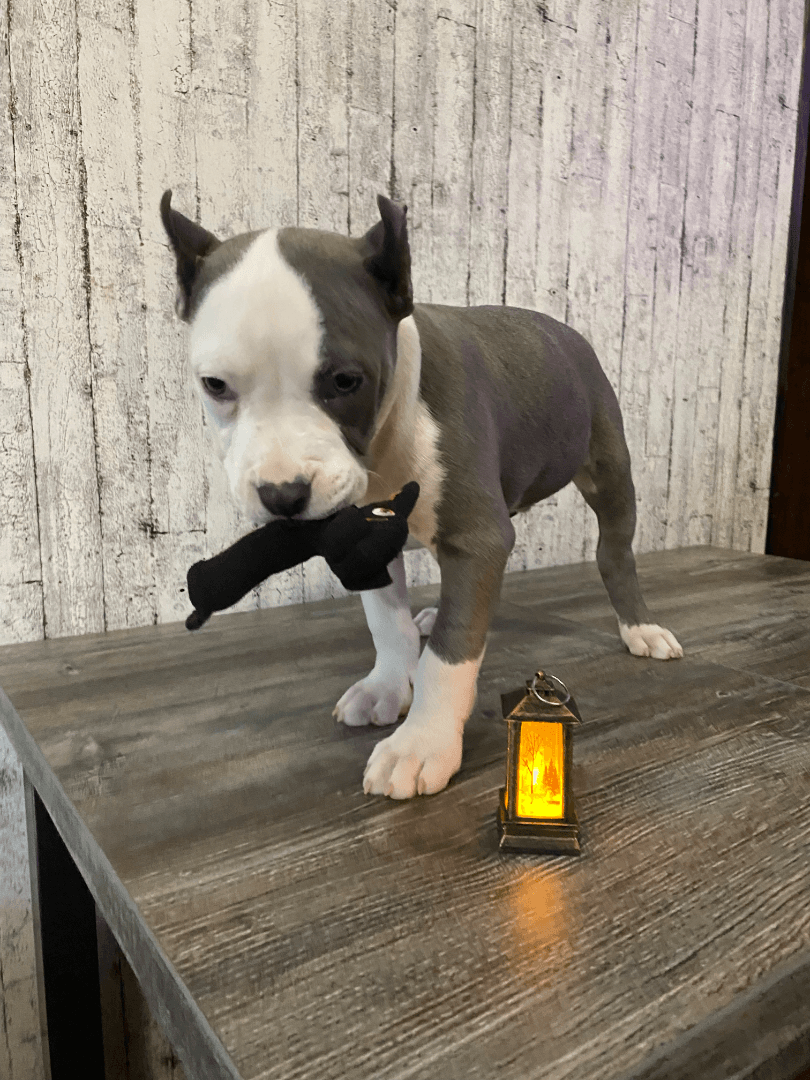 carousel-image-mobile-3