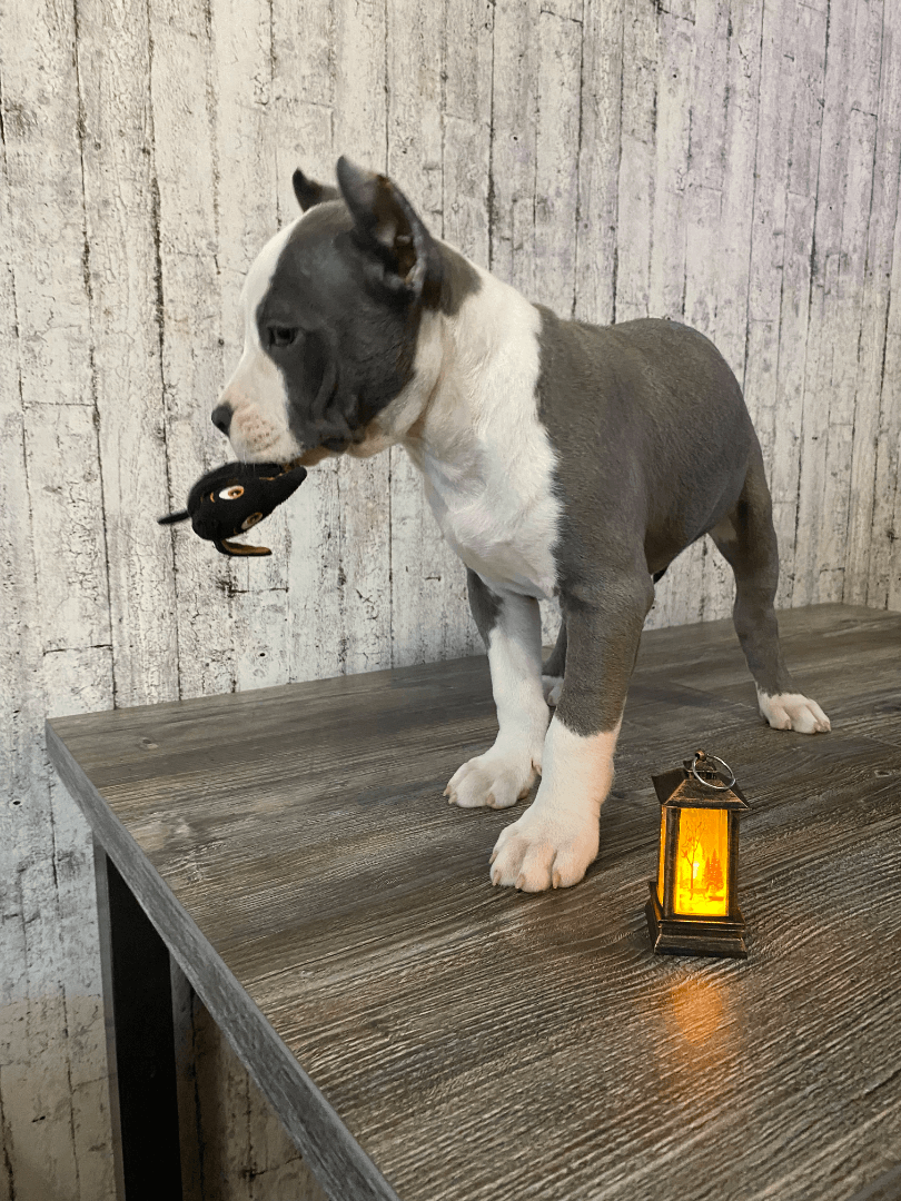 carousel-image-mobile-4