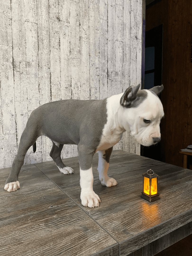 carousel-image-mobile-5