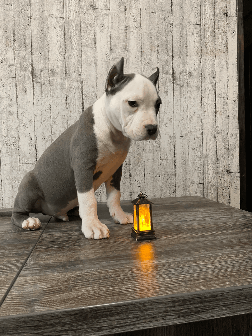 carousel-image-mobile-6