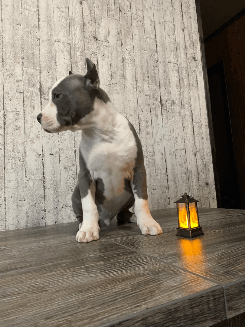 carousel-image-mobile-7