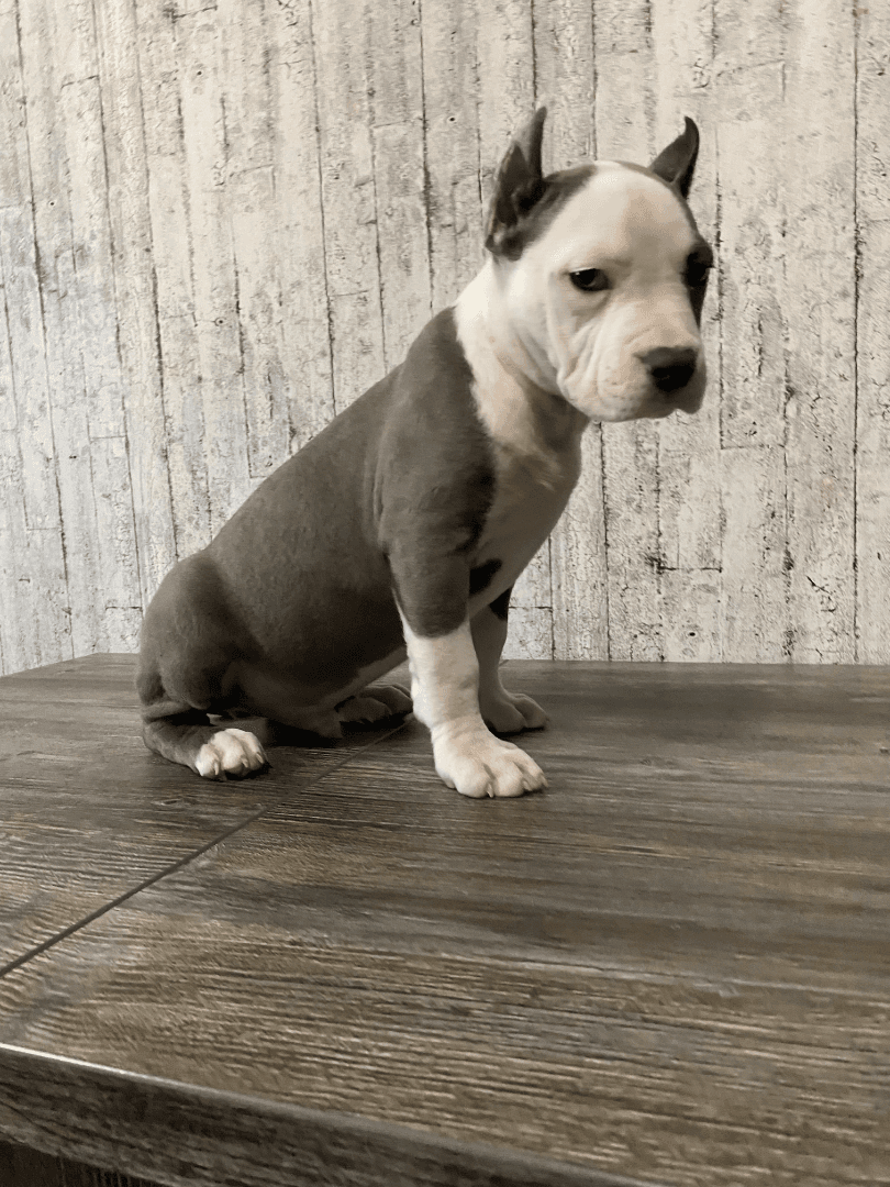 carousel-image-mobile-8