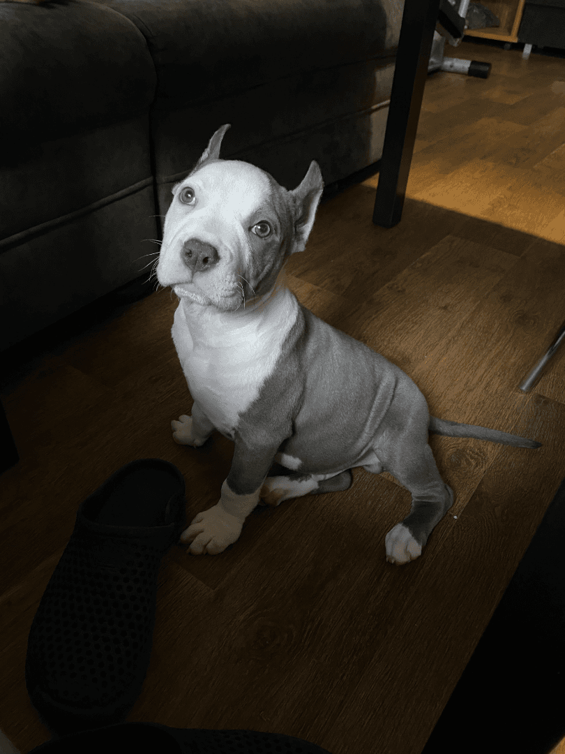 carousel-image-mobile-9