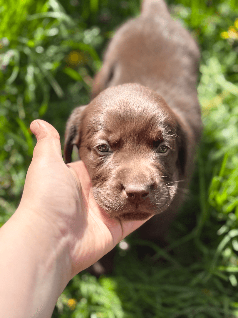 carousel-image-mobile-1