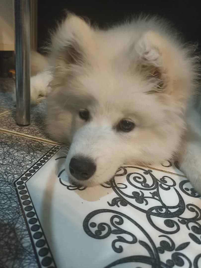 carousel-image-mobile-1