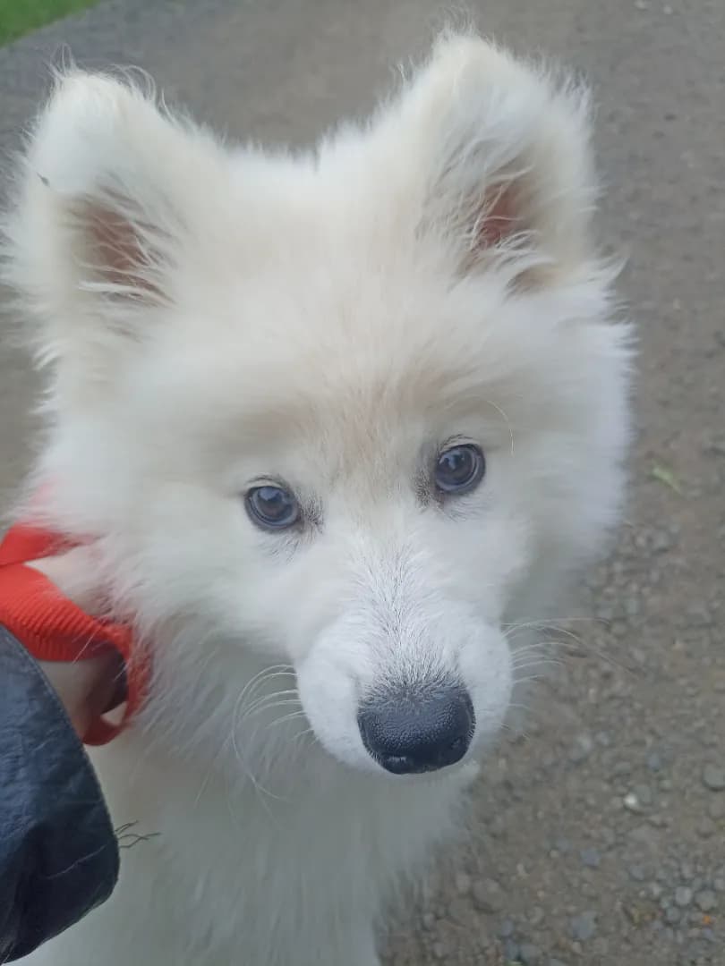 carousel-image-mobile-3